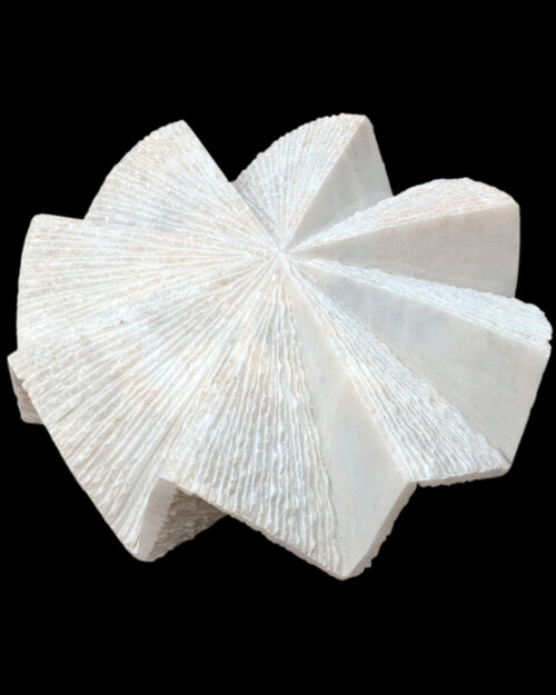 TANNOURA 2